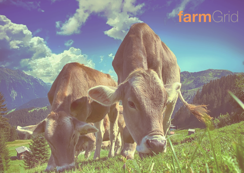 FarmGrid – Piattaforma IoT WPS per Smart Farming